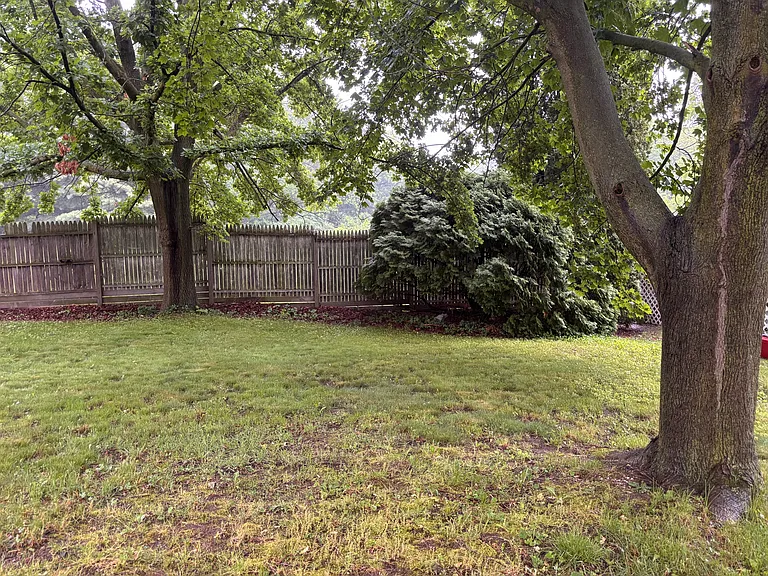 6430 Ocha Dr — Photo 10