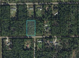 5732 Palm Ave, Bunnell, FL 32110