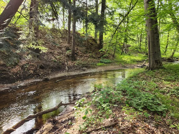 1 S 200th Ave, Holton, MI 49425