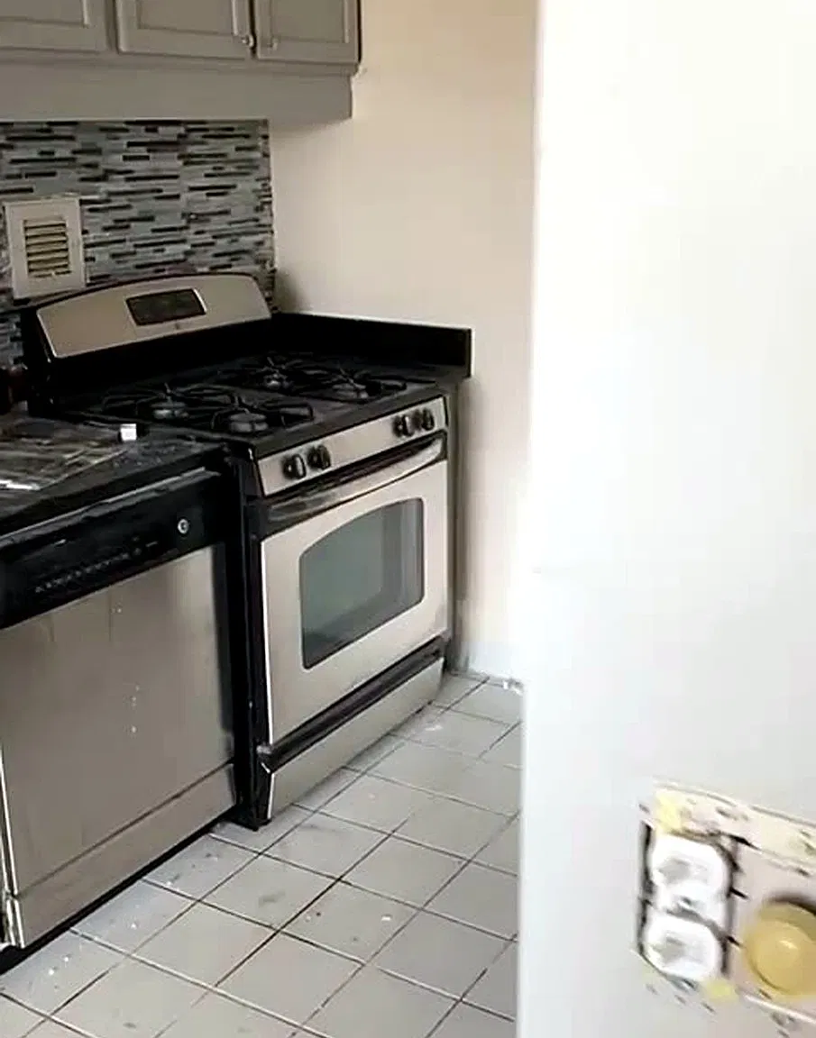 1 bed, 650 sqft, $1,800 — Photo 3