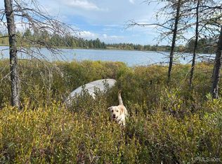 Slough Lake Rd #32, Gwinn, MI 49841