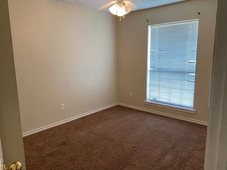 3908 Onaway Trl — Photo 12