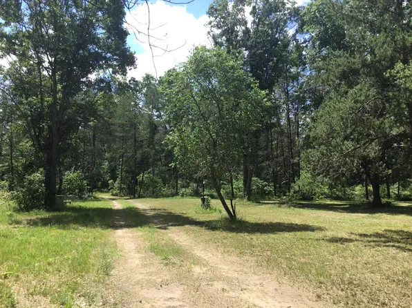 2597 E Gladys St, Idlewild, MI 49642