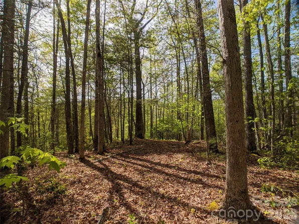1156 Bear River Lodge Trl #61, Marshall, NC 28753