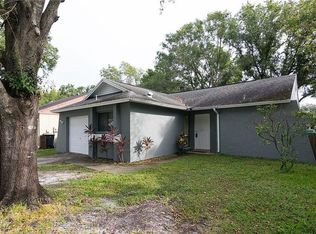 12419 Pepperfield Dr, Tampa, FL 33624