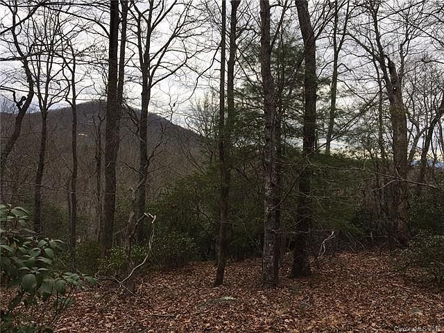 2nd image of 315 Stoneledge Trl