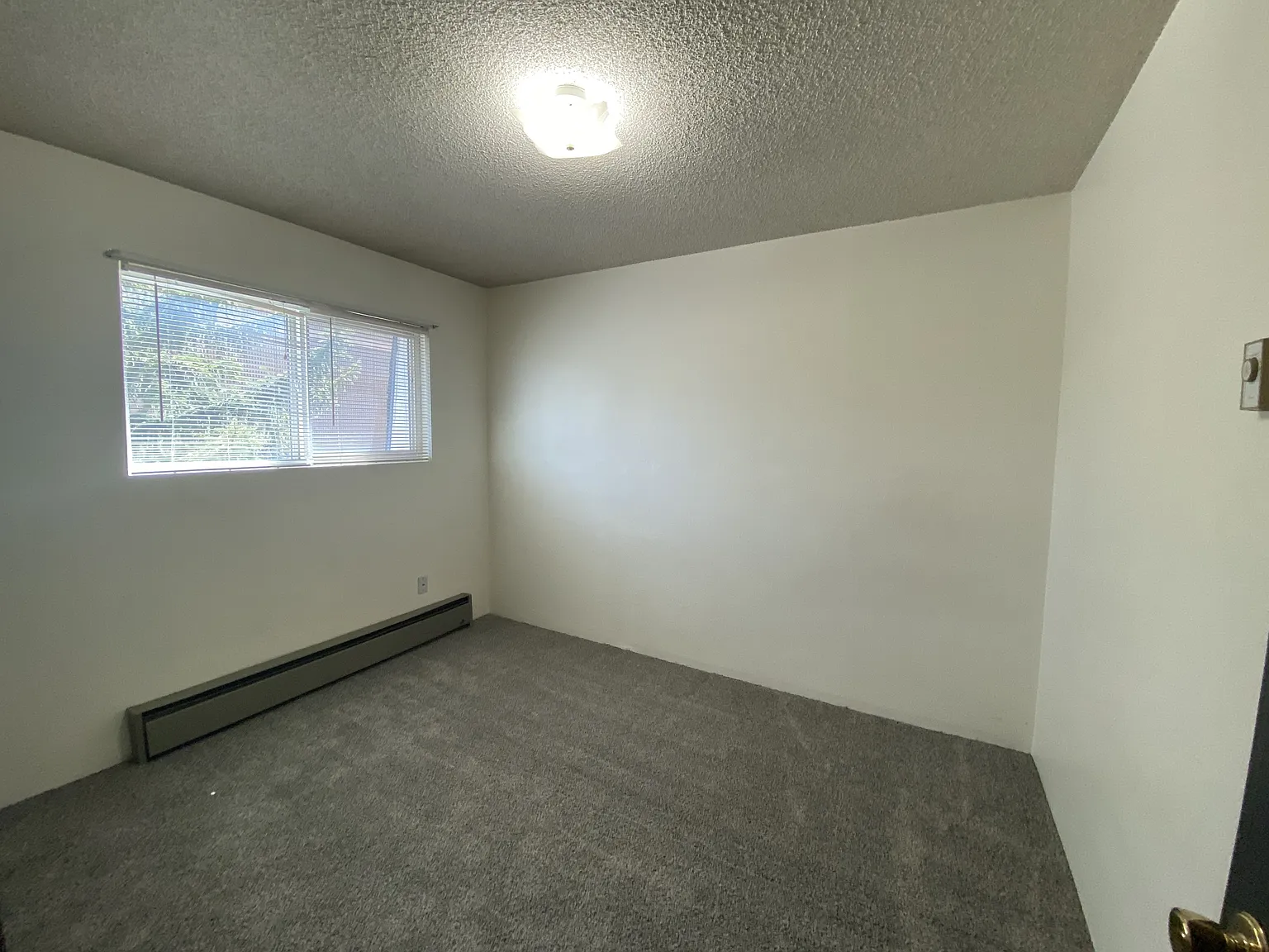Elk Street - 920 E... — Photo 3