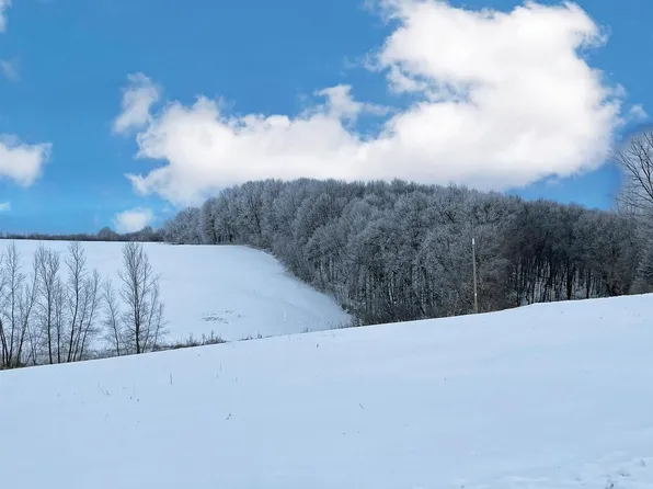 75.35 Acres Henderson Rd #NA, Wonewoc, WI 53968