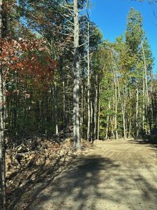 00 Pinkham Road #11-10, Union, NH, 03887