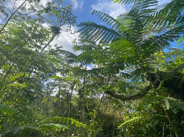 15-2778 NEHU ST, Pahoa, HI 96778
