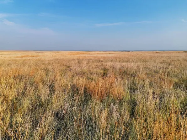 W County Rd E, Leoti, KS 67861
