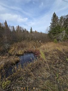 PARCEL Black Point Rd #A, Moran, MI, 49760