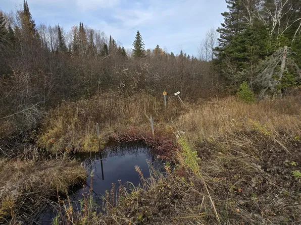 PARCEL Black Point Rd #A, Moran, MI 49760