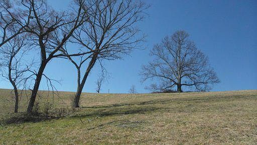 Image 3: Additional Photo