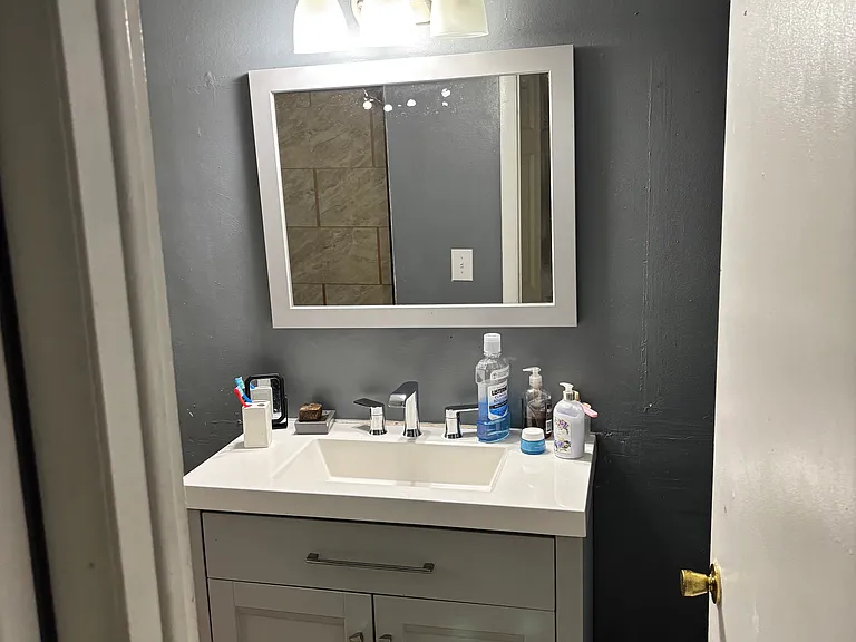 25344 Shiawassee Cir #210 — Photo 8
