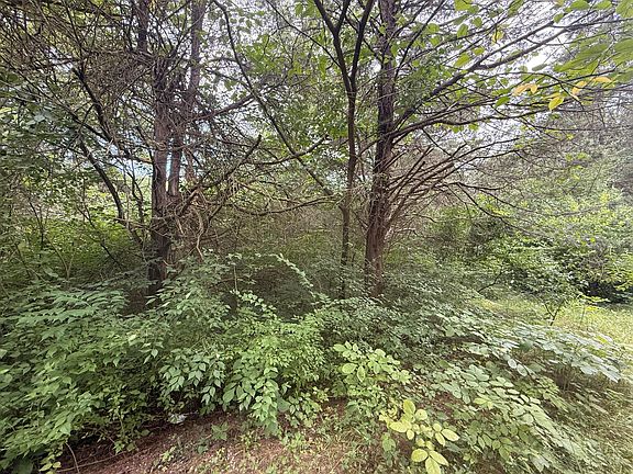3rd image of 815 Waterworks Rd