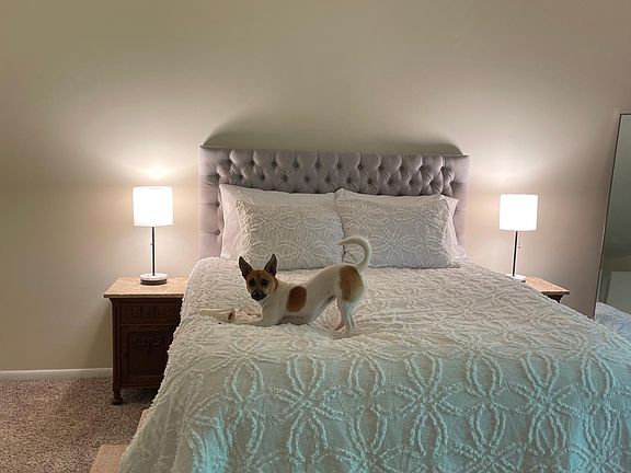 5th image of 12504 Loston Cir APT 302