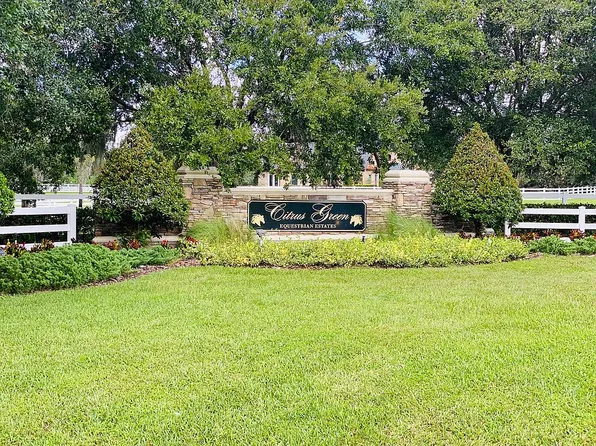 11439 Trotting Down Dr, Odessa, FL 33556