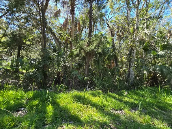10919 W London Ln, Homosassa, FL 34448