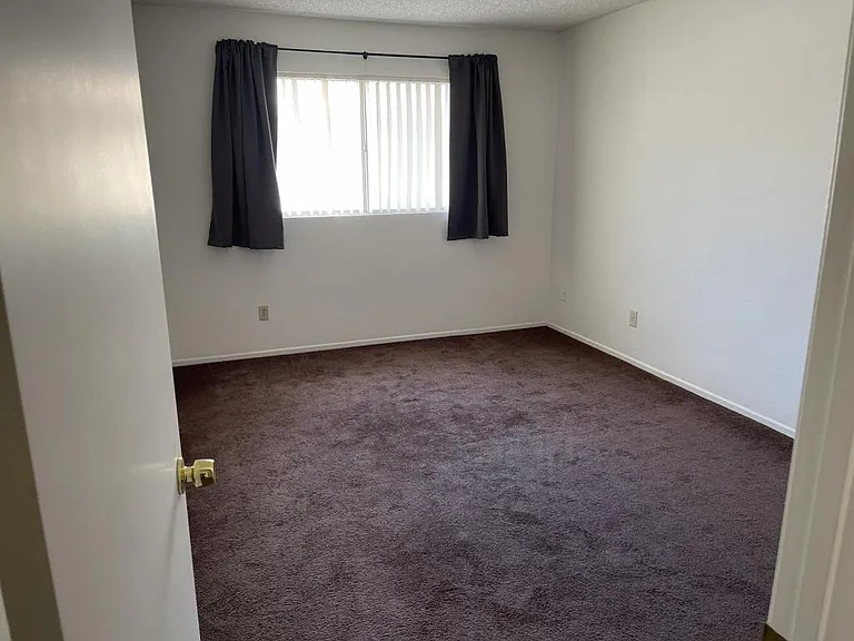 1647 Orchid Ln — Photo 14