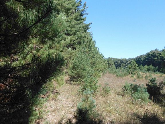 3rd image of 33.79 Ac Hwy #73