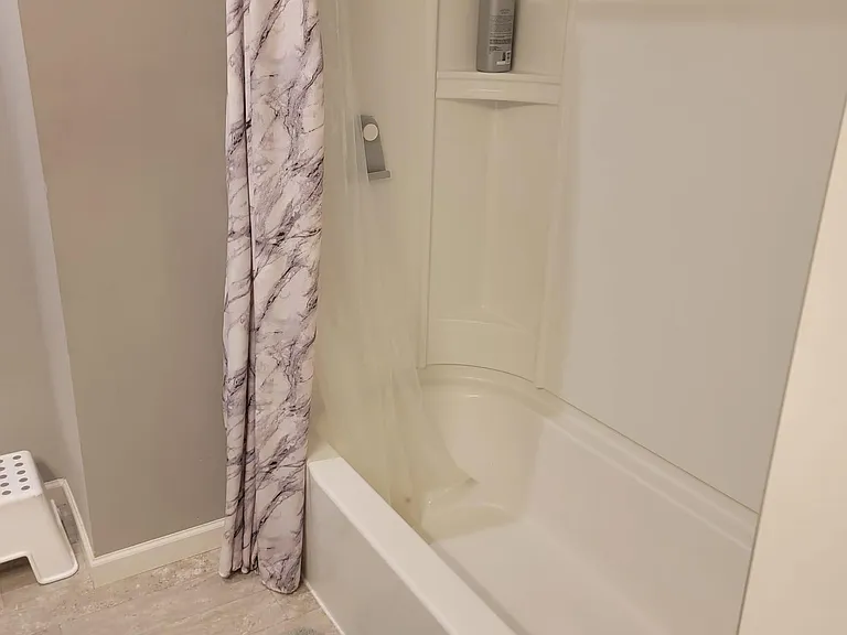 Guest bathroom shower