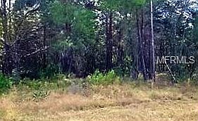 2nd image of 12280 Ipswich Sparrow Rd