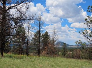663 Chateau West Dr, Florissant, CO 80816