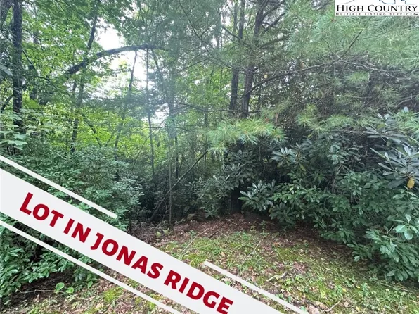 TBD Grady Holland, Newland, NC 28657