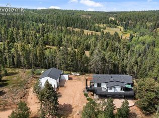 403 Pioneer Creek Dr, Florissant, CO 80816