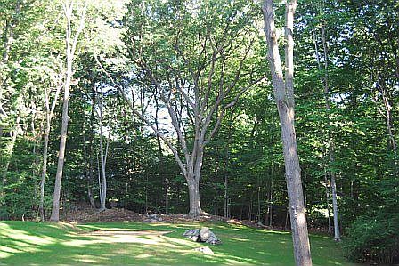 A view of the backyard