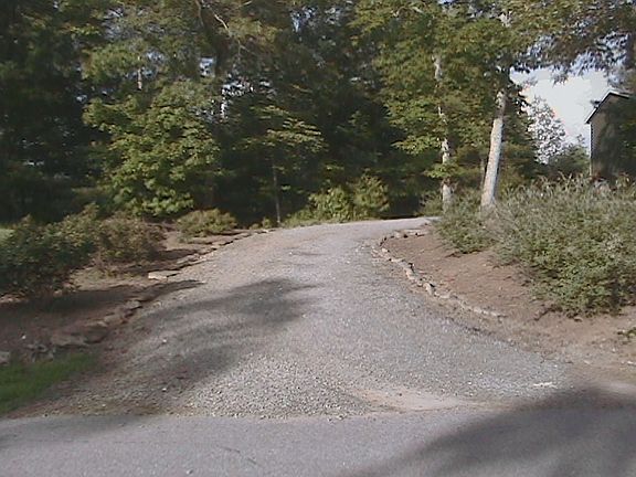 Landscaping along driveway