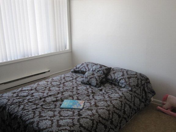 3rd image of 575 Tiger Ave