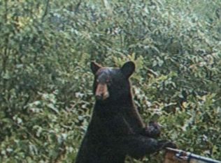 6665 Buck Mountain Rd, Dover, AR 72837