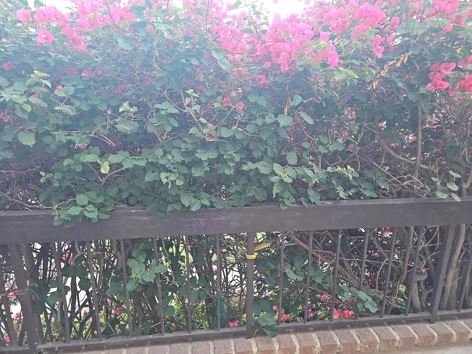 1 bed, $2,295 — Photo 2