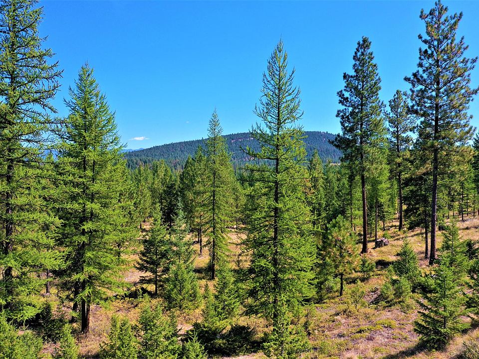 1st image of Nhn Kootenai Echo Trl