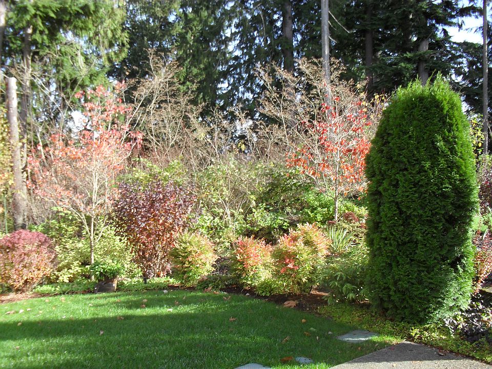 1st image of 12748 Adair Creek Way NE
