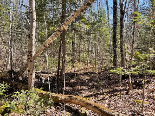 M7 L5 Bemis Road, Rangeley Plt, ME 04970