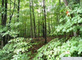 159 Allen Hill Rd, Gilboa, NY 12076