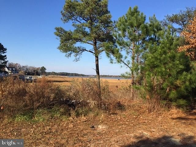 2nd image of 318 Baywinds Ct