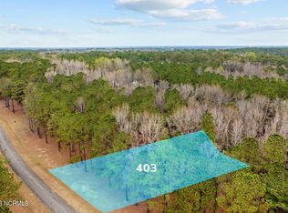 403 Anna Lane, Snow Hill, NC 28580