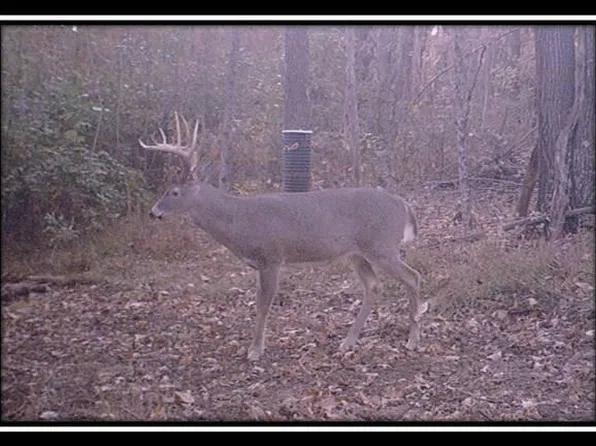 0 Possum Trot Rd Tract 5, Gallipolis, OH 45631