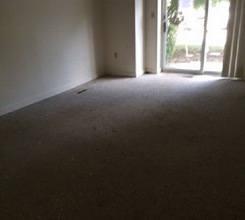5th image of 100-47 Chateau Ln