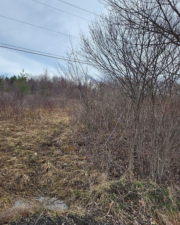 2nd image of 175 Springsteen Rd