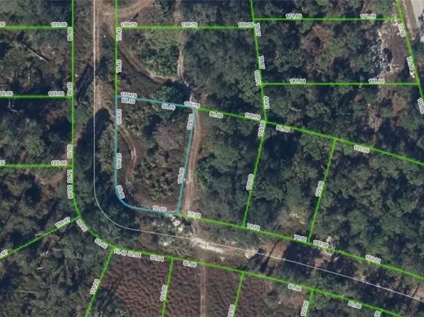 108 Chandler Ter NE, Lake Placid, FL 33852