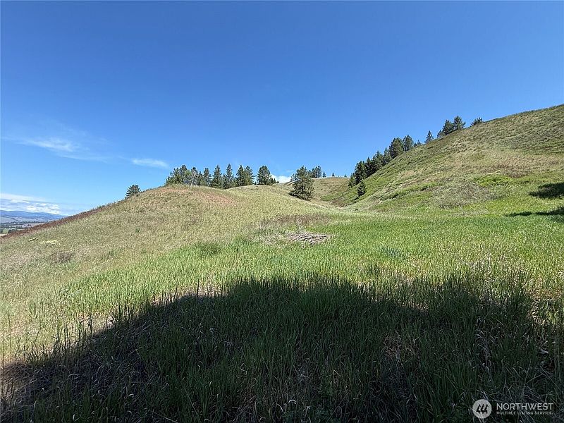 3rd image of 0 Art Creek Road
