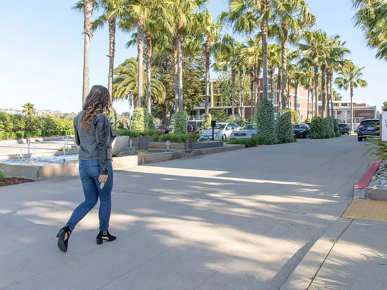 Explore the Community Grounds