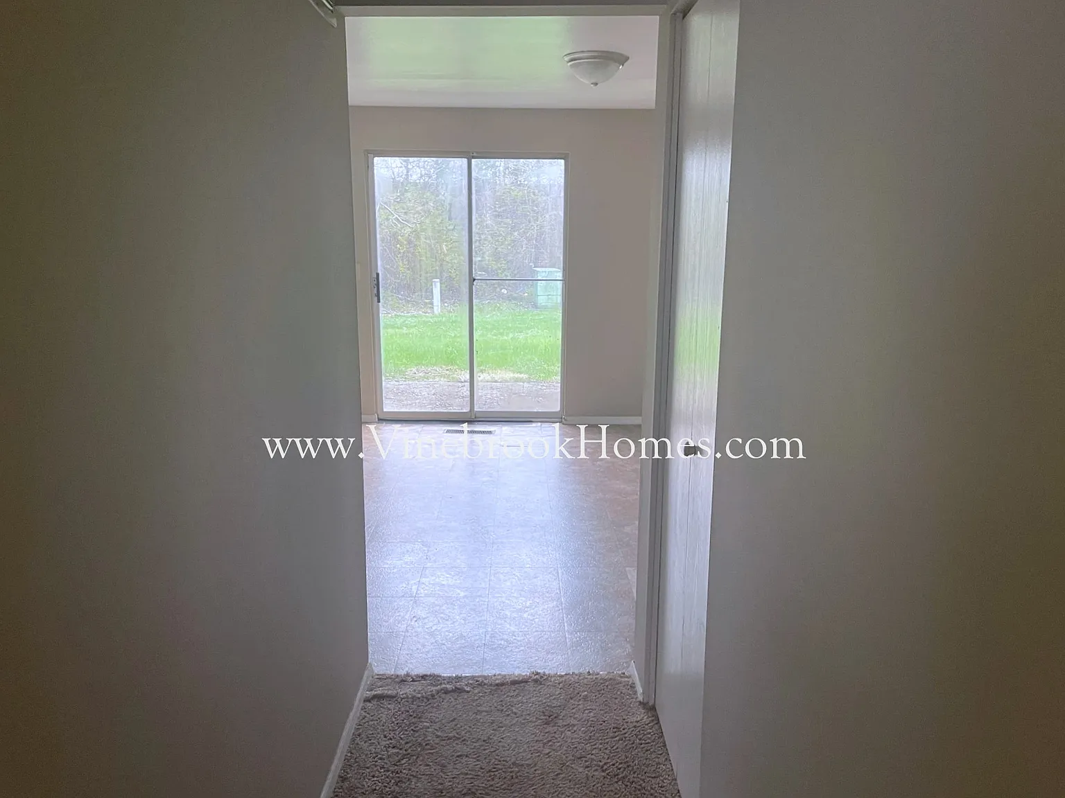 8259 Mount Carmel — Photo 4
