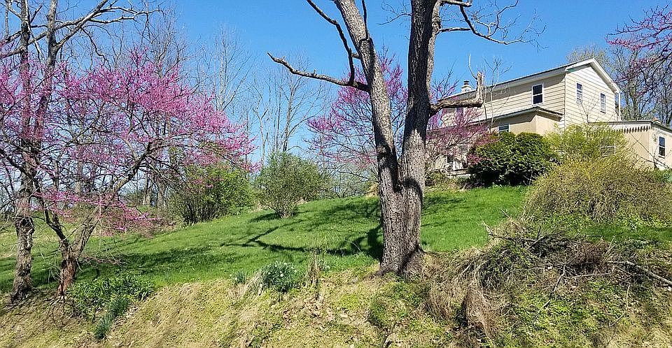 2nd image of 590 Cemetery Rd