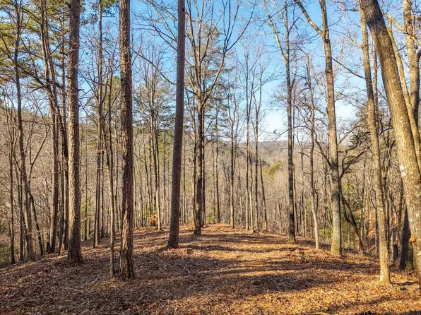 1665 Hunter Dr, Talking Rock, GA 30175